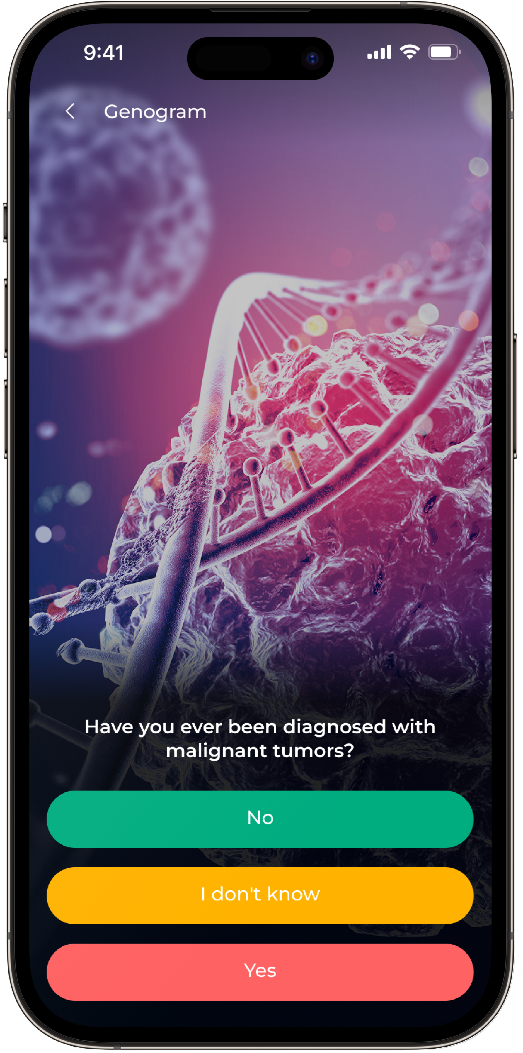 Wellysa App