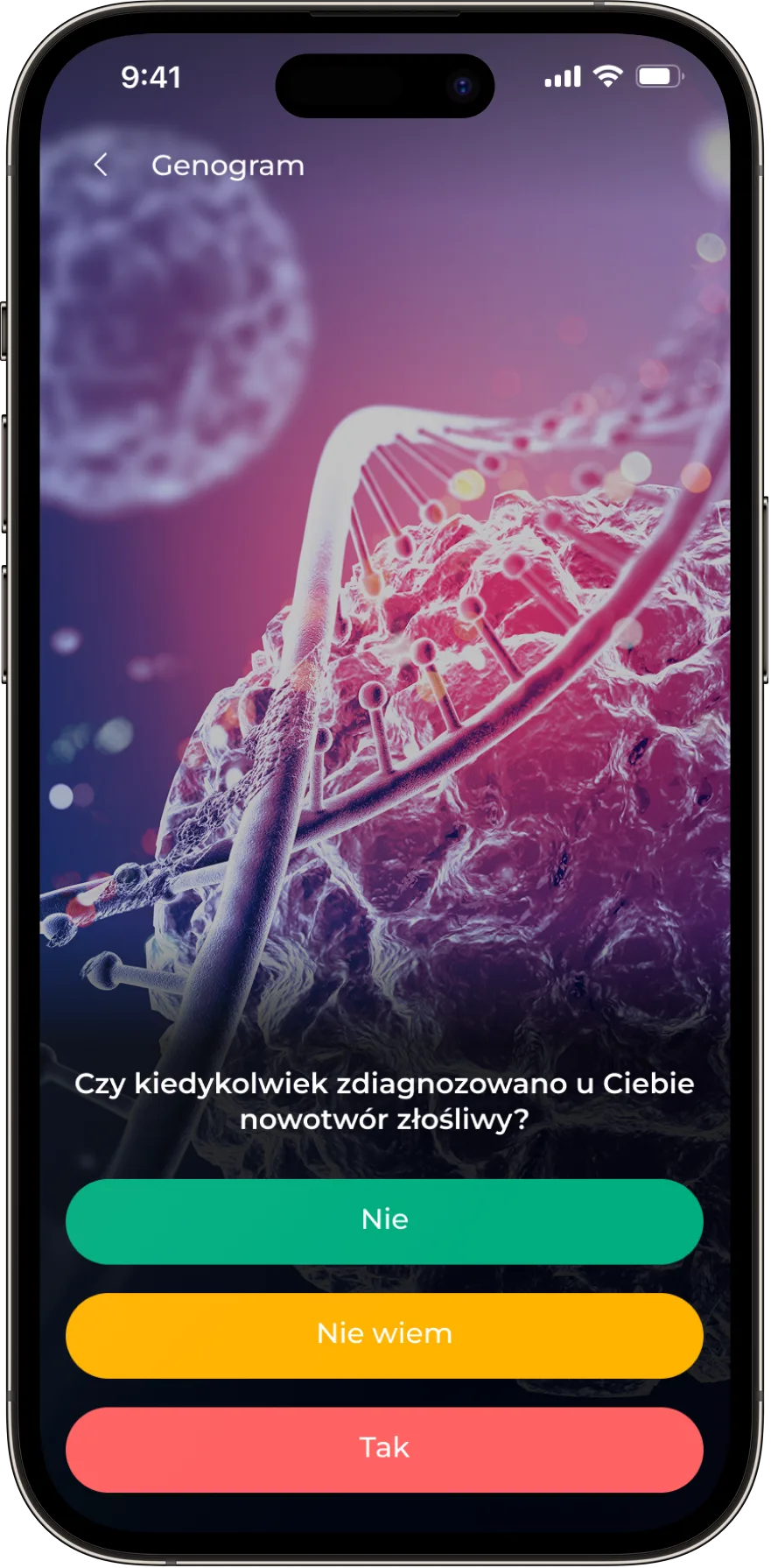 Wellysa App